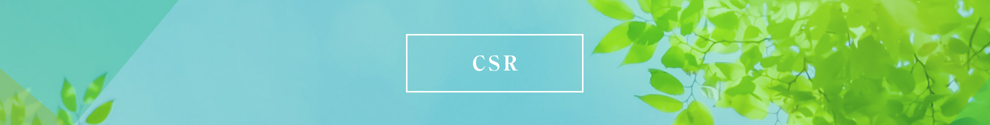 CSR